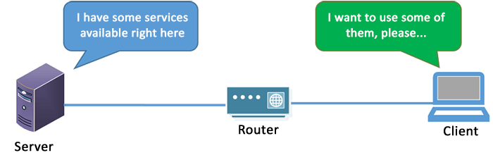 Client-and-server-on-a-network Client and server on a network